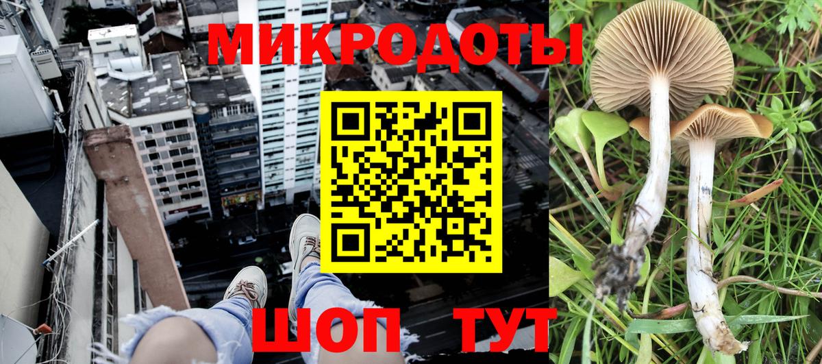 Каспийск  Галлюциногенные грибы мухоморы  Вход с VPN 