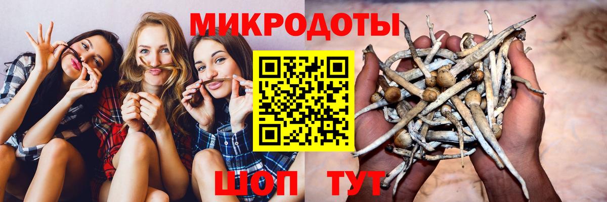 Галлюциногенные грибы Magic Shrooms Каспийск